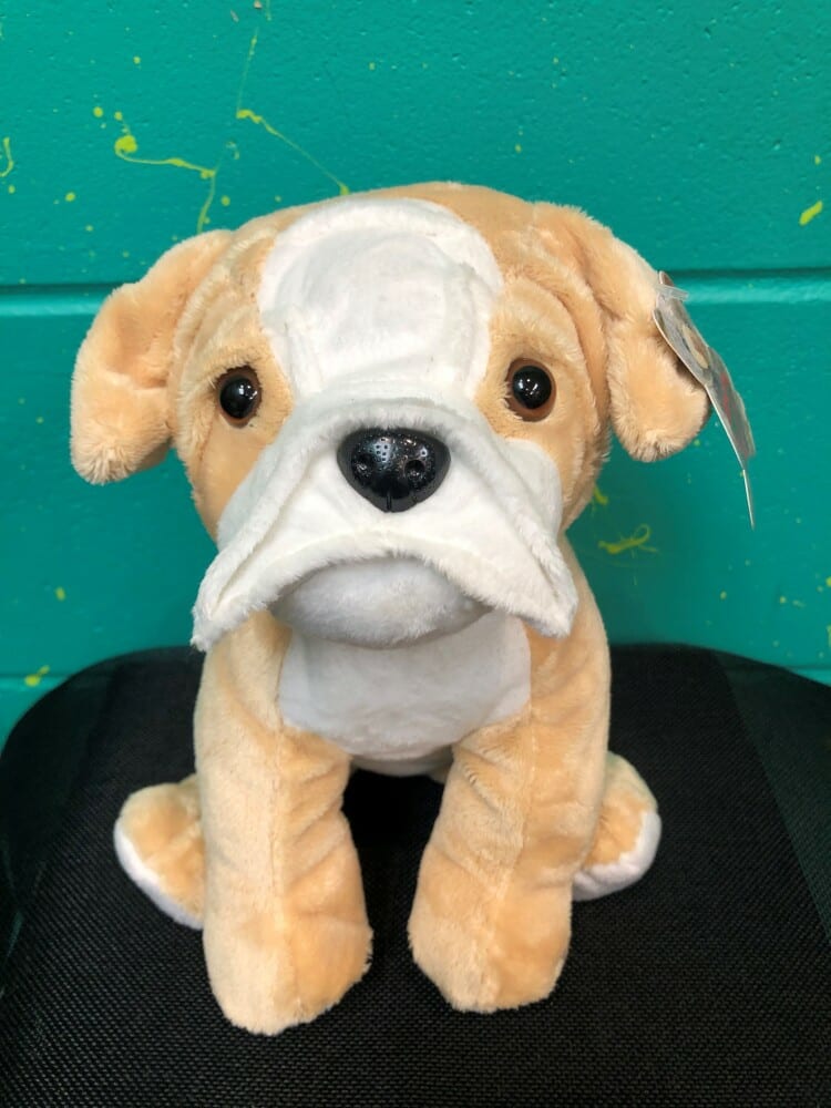 Bulldog Teddy 