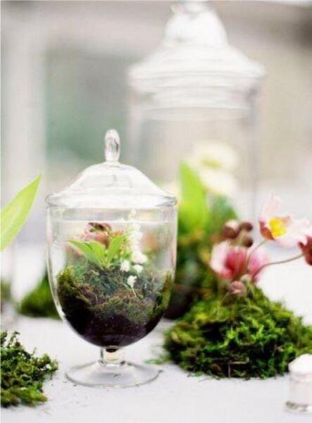 TERRARIUM