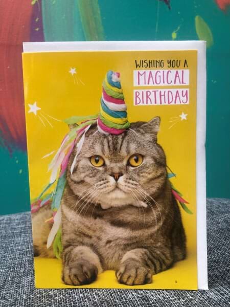 Birthday Card Cat