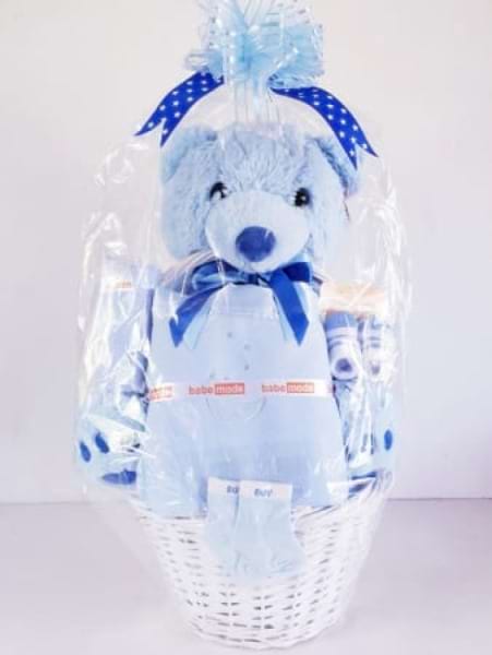 Baby Basket Blue Small