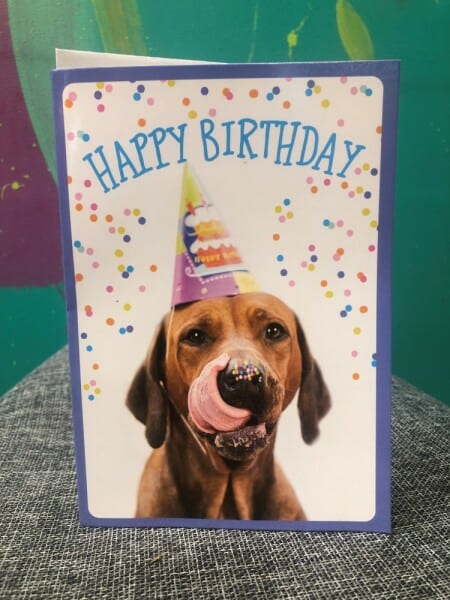 Birthday Card Dog
